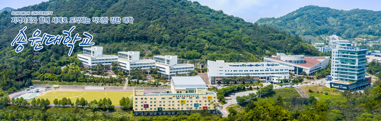 Đại học Songwon Hàn Quốc  – Trường TOP 3 ở Gwangju